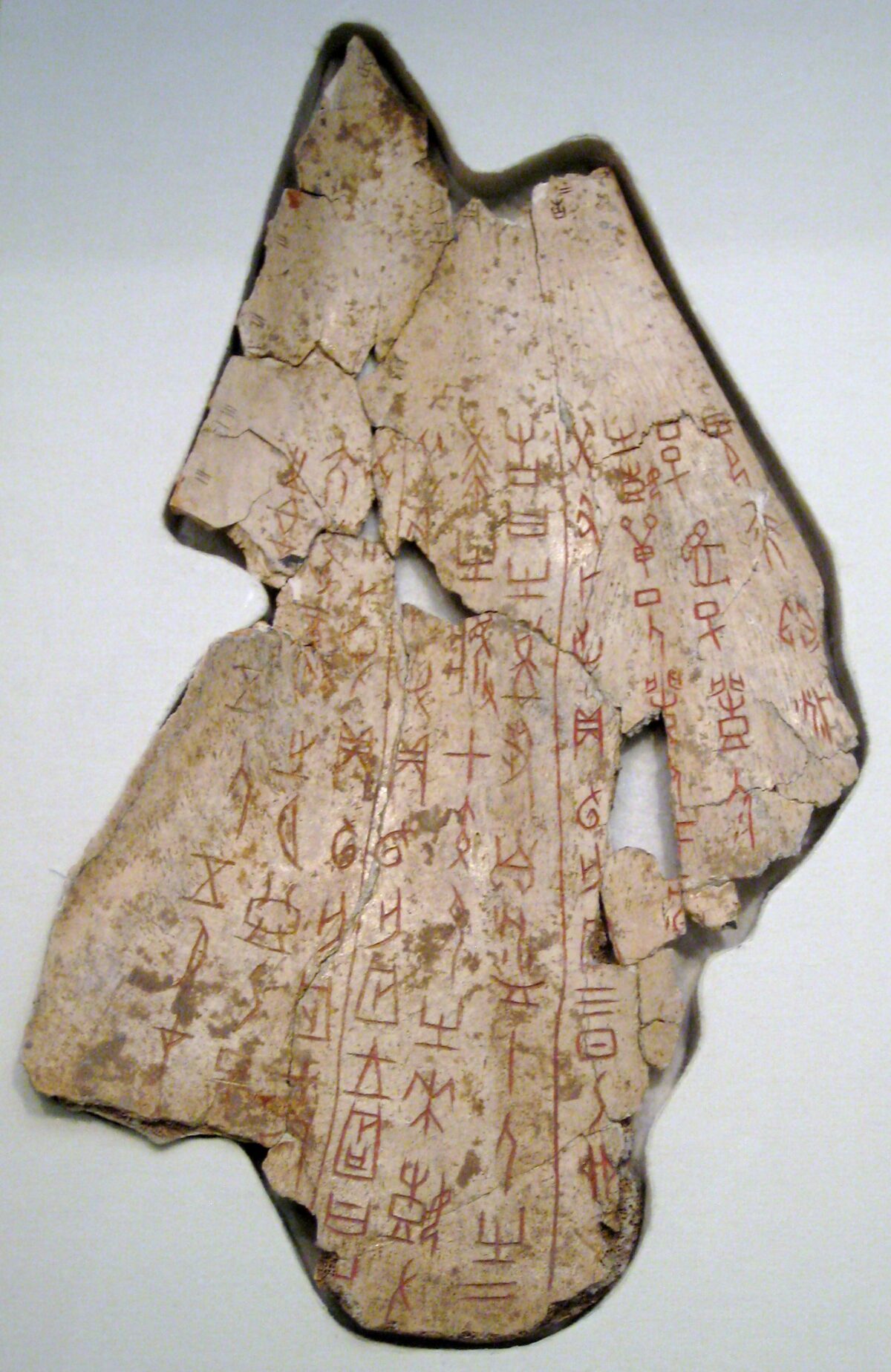 Ritual Bones in Folk Magic and Traditional Witchcraft - Nettle's Garden ...