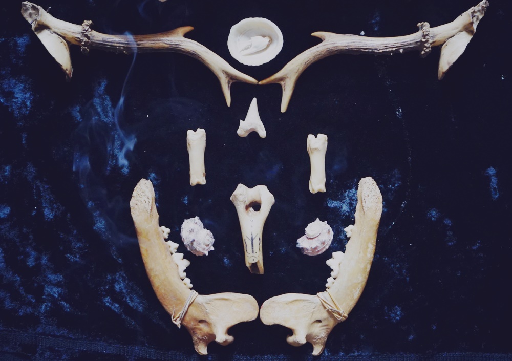 Romanian necromancy and bone magic: Ritual arrangement using canine bones, deer antlers, seashells, crab claw, and shark fang.